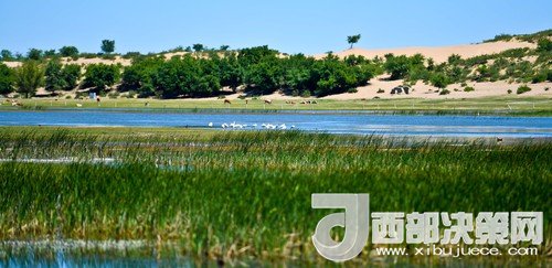 阿魯科爾沁保護(hù)區(qū)濕地沙丘。吳勇攝