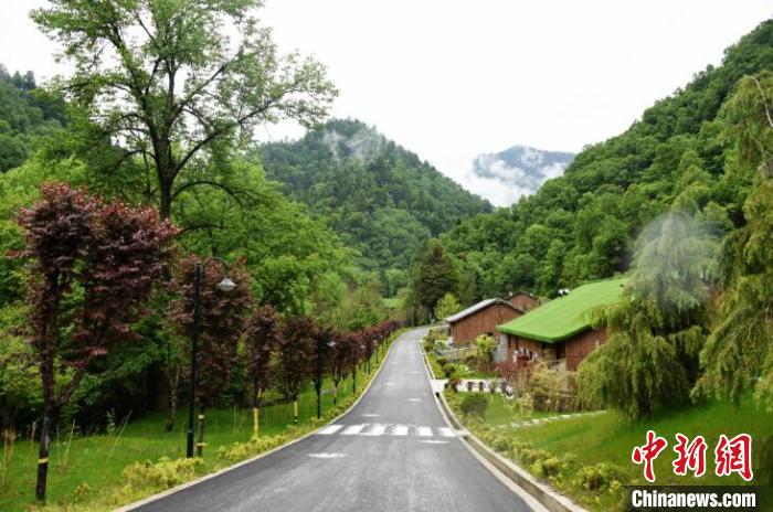 九寨溝熊貓園外景?！【耪瘻峡h委宣傳部提供 攝