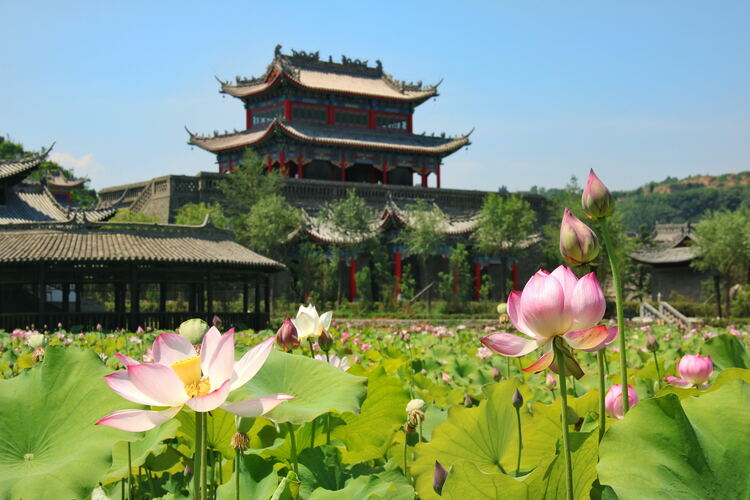 【云游渭南】心中若有桃花源，此處便是水云間！待疫情散盡，一起來渭南桃花源賞美景、觀民俗、享美食_fororder_2